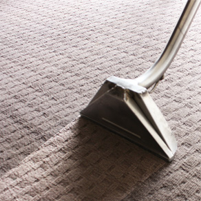 Look at the difference before and after carpet cleaning magic