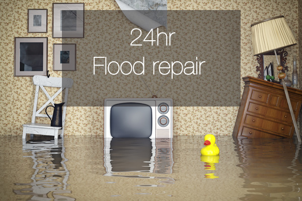 Experienced a flood? Contact Rod's carpet cleaning for 24 hr flood repair
